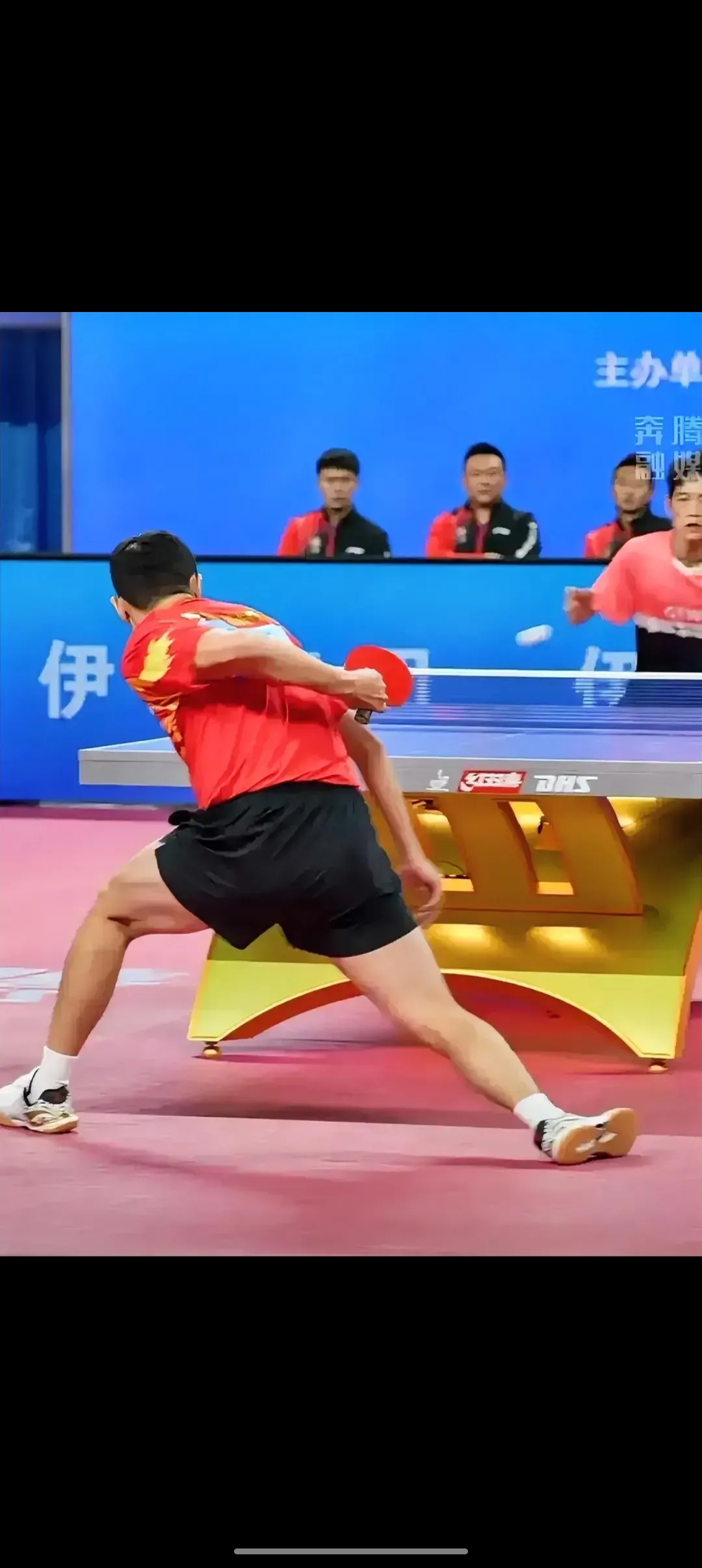 奥地利乒乓球队险胜比利时乒乓球队,许昕关键制胜的简单介绍 奥地利乒乓球队险胜比利时乒乓球队,许昕关键制胜的简单介绍