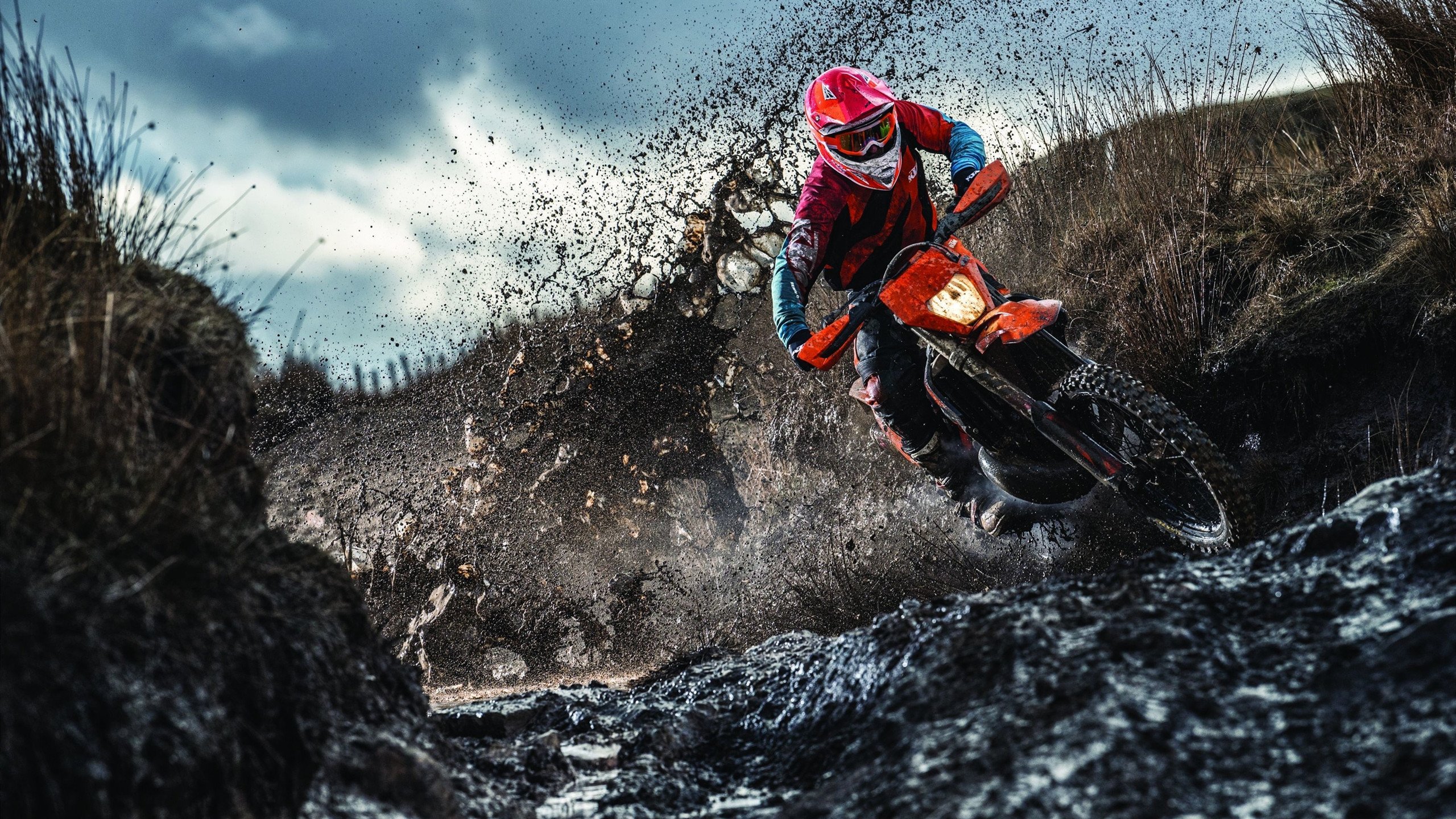 格列兹曼关键一射定乾坤,阿尔及利亚逆境突围秘鲁的战术密码